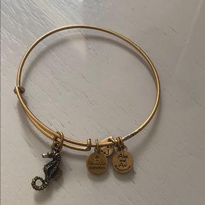 alex and ani bracelet